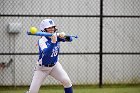 Softball vs Babson  Wheaton College Softball vs Babson College. - Photo by Keith Nordstrom : Wheaton, Softball, Babson, NEWMAC